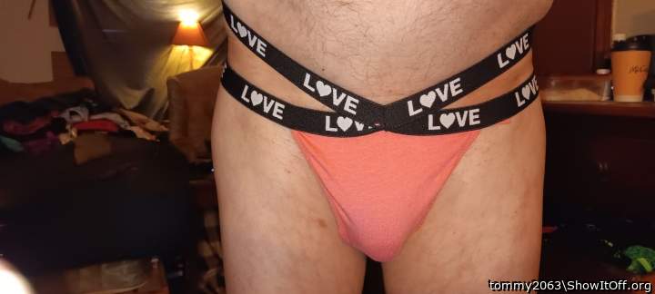 Photo of a lizard from tommy2063