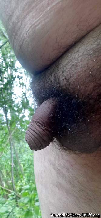 Photo of a private part from 4inchdick