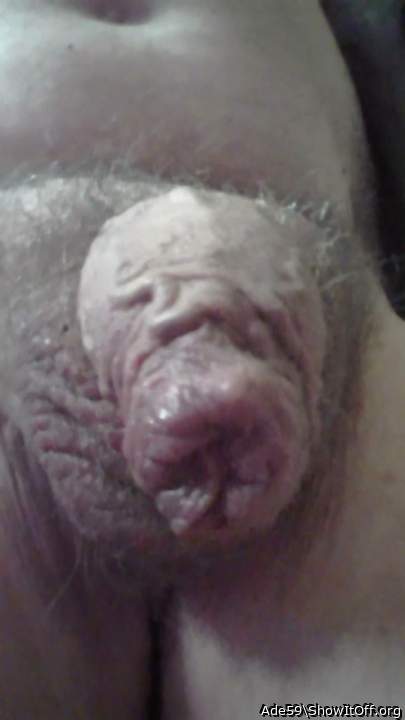 Impressive veiny foreskin