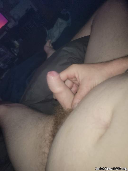 Photo of a hot dog from Jesta
