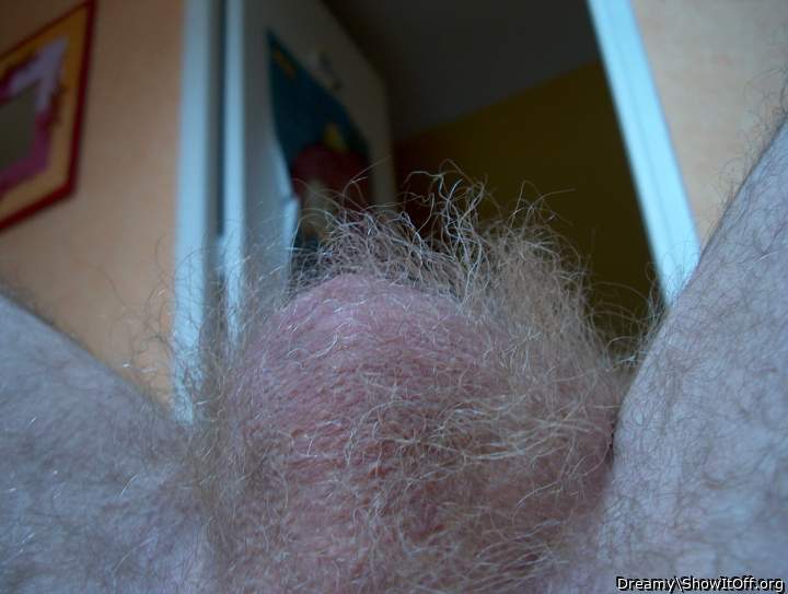 I love hairy balls! 