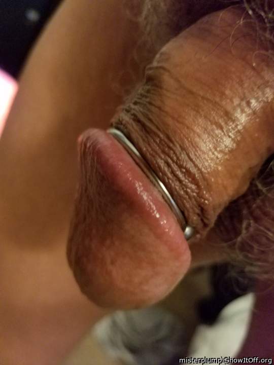 Photo of a weasel from misterplump