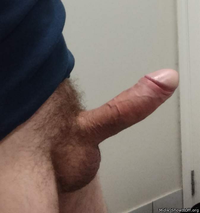 Photo of a sausage from Midik