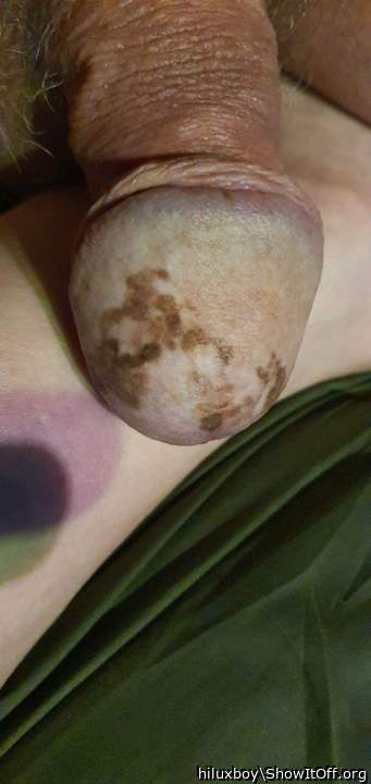 Photo of a snake from hiluxboy