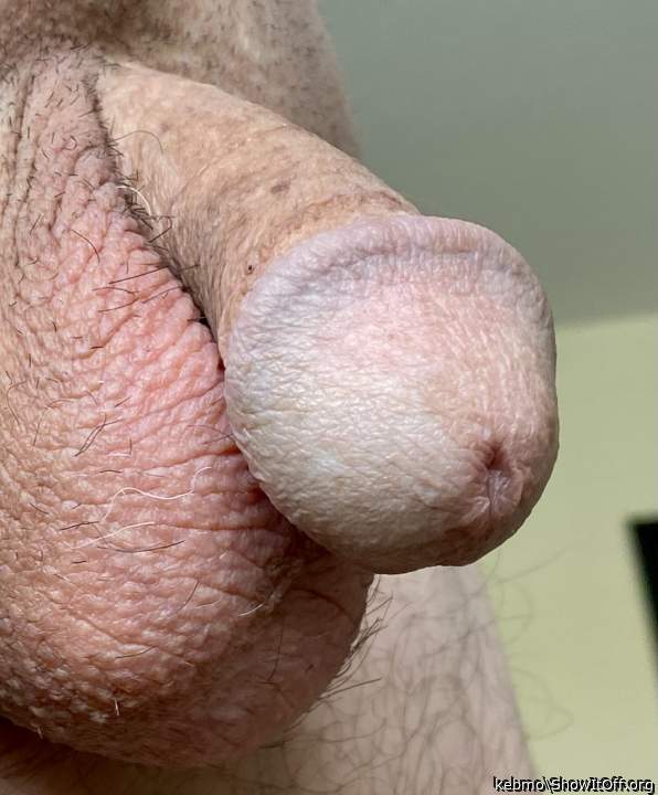 Nice Photo - Great Cock !   