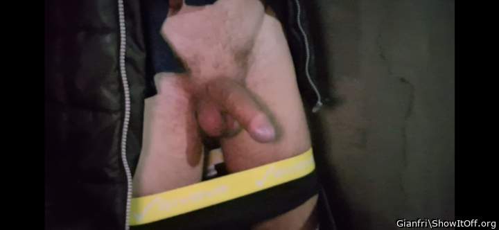 Photo of a rooster from Gianfri