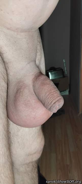Testicles Photo from sanok