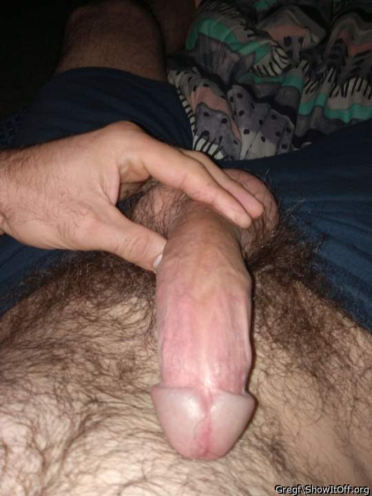 Photo of a middle leg from Gregf