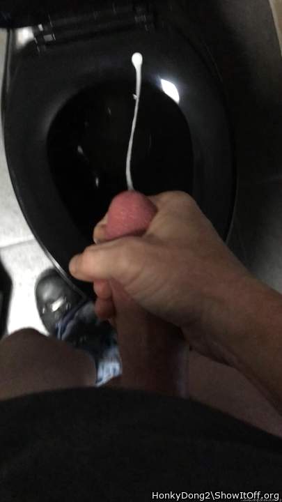 Photo of a lizard from HonkyDong2