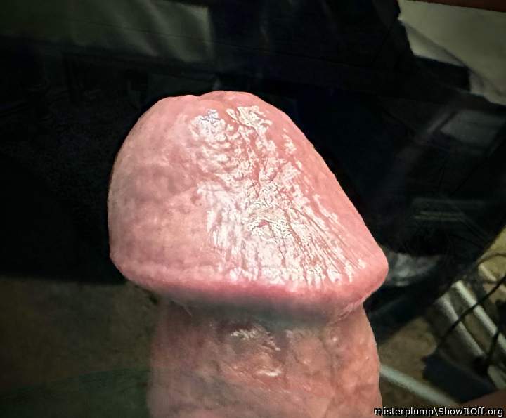 Photo of a cavalier from misterplump