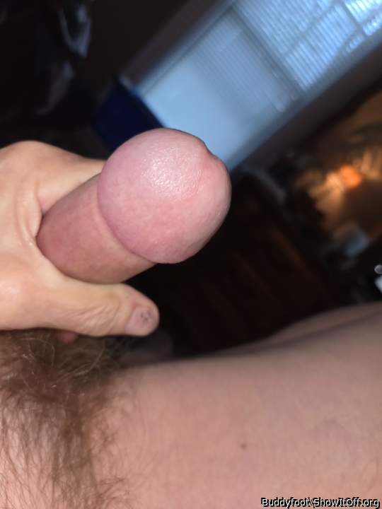 Photo of a python from Buddyfoot