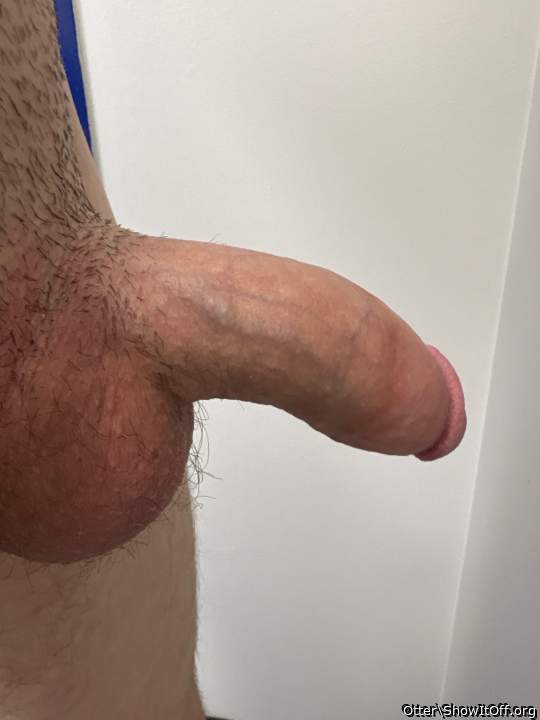 Photo of a horn from Otter
