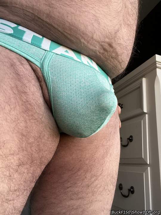 Photo of a horn from BuckF150