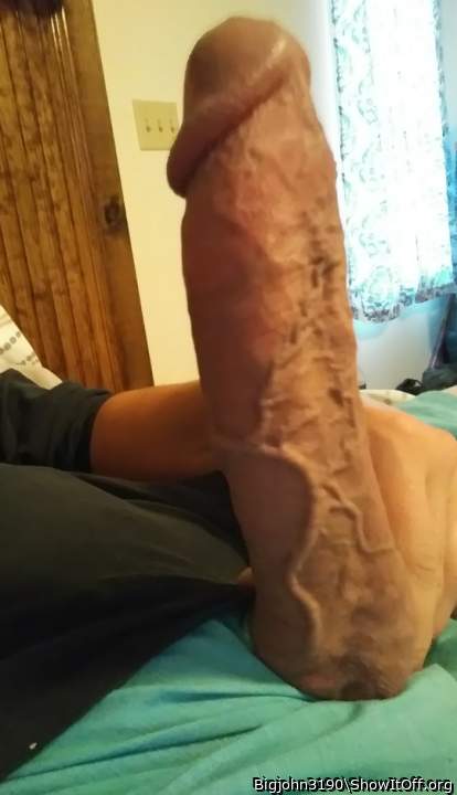 That big veiny cock needs to satisfy itself in my wife's mea