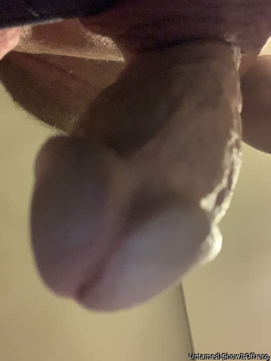 Photo of a wiener from Untamed