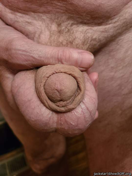 Photo of a horn from jackstar