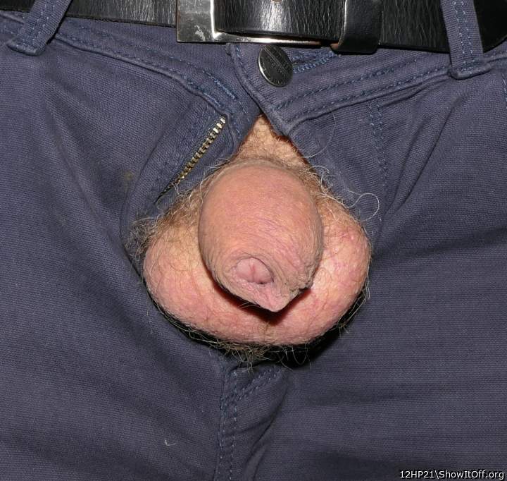 Photo of a wiener from 12HP21