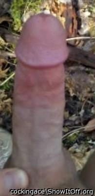 Photo of a penile from cockingace