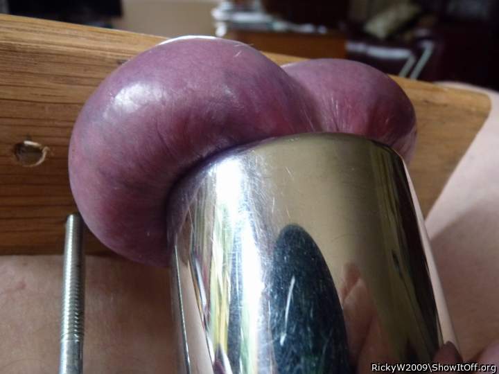 Magnificent engorged and purple balls, perfect for sucking o