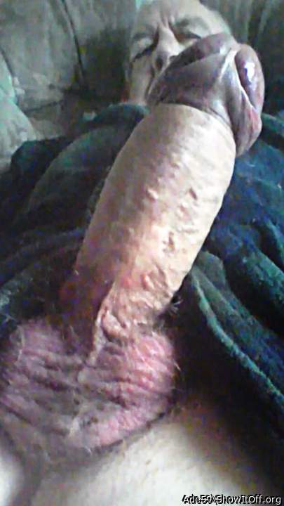 Photo of a ram rod from Ade59
