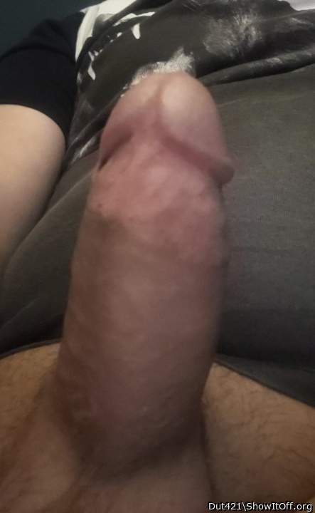 Photo of a short leg from Dut421