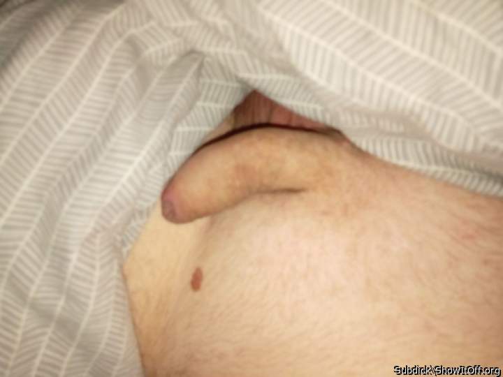 Photo of a weasel from Subdick