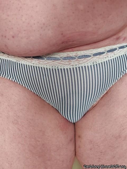 Photo of a pecker from Gerbiboy
