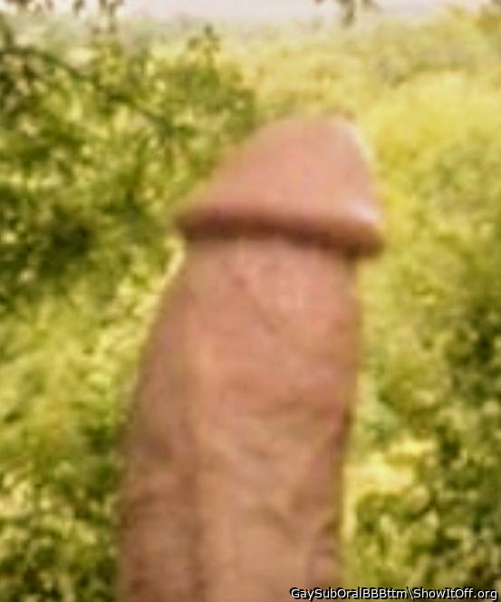 Photo of a sausage from GaySubOralBBBttm