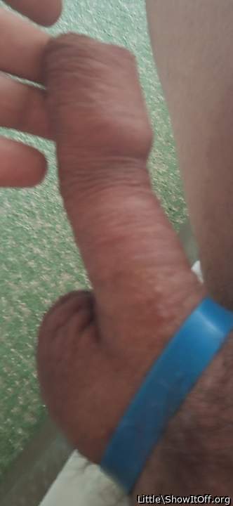 Photo of a cock from Little