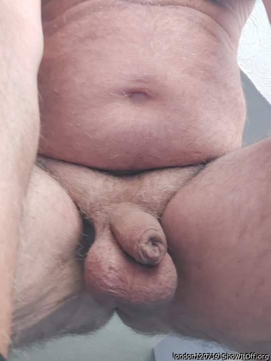 You have the very pretty genital 