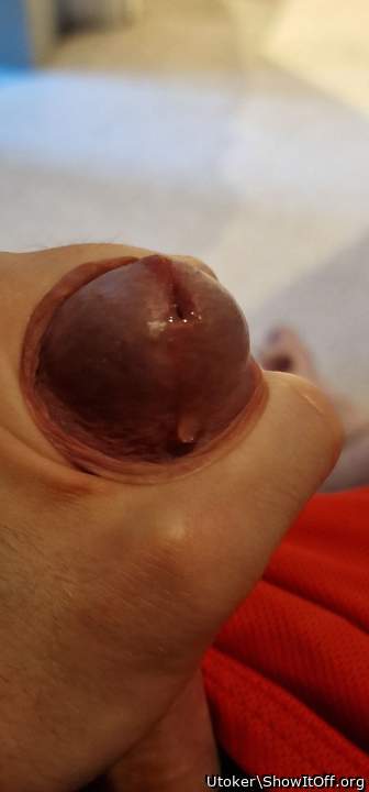 Photo of a thing from Utoker
