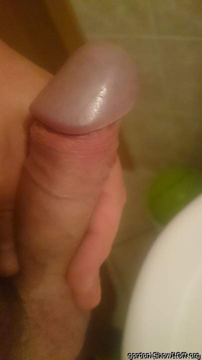 Photo of a horn from gordon