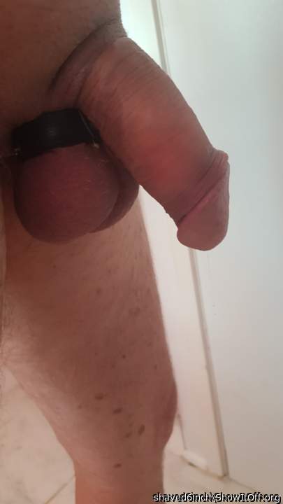 Photo of a penile from shaved6inch