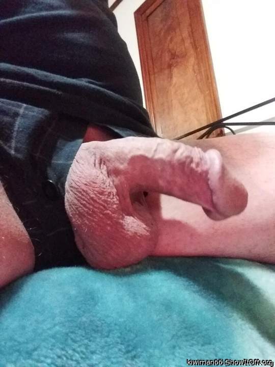 Photo of a dick from kiwiman66
