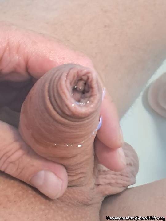 Photo of a middle leg from Havesomefun