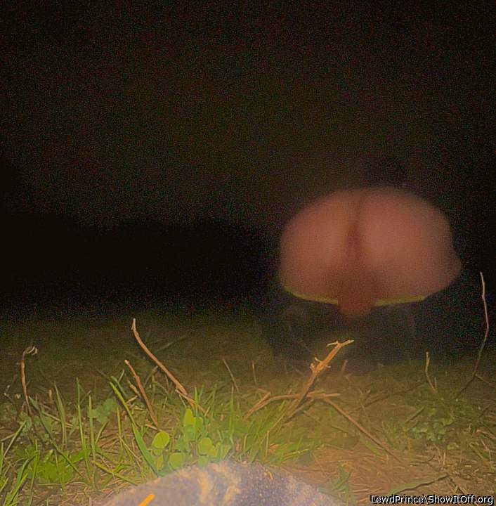 Photo of Man's Ass from LewdPrince