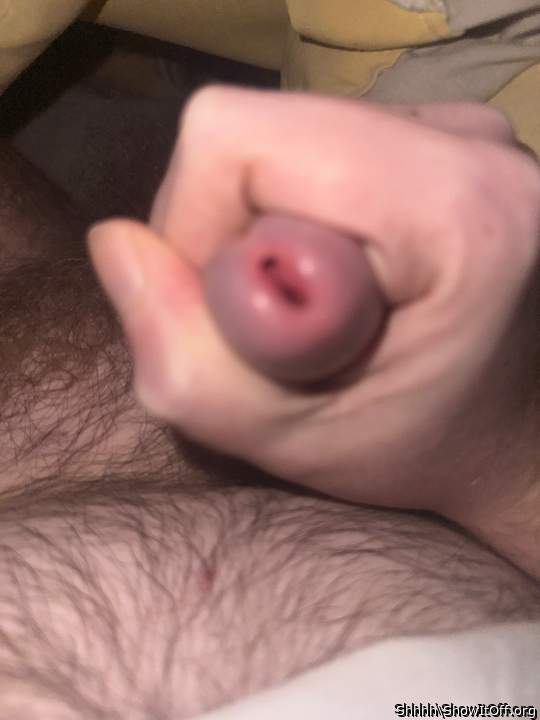 Photo of a horn from Shhhh