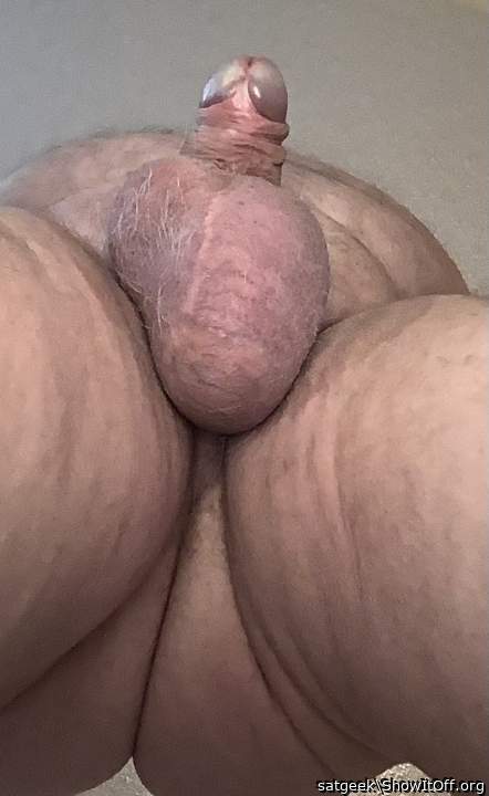 Testicles Photo from satgeek