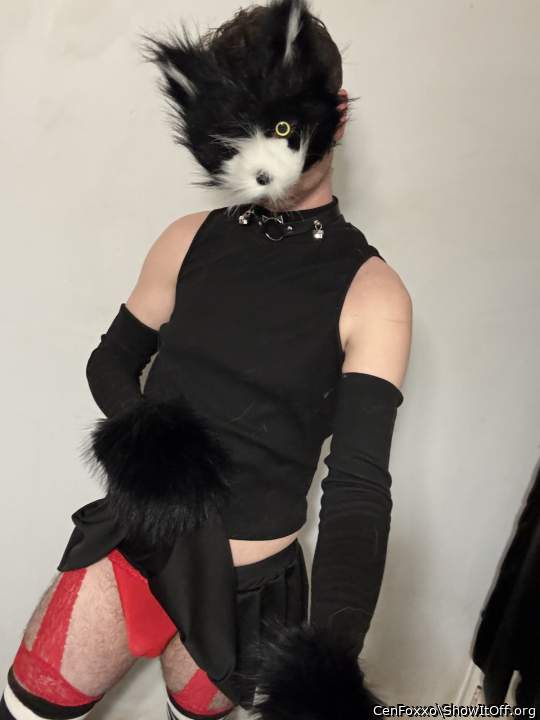 Adult image from CenFoxxo