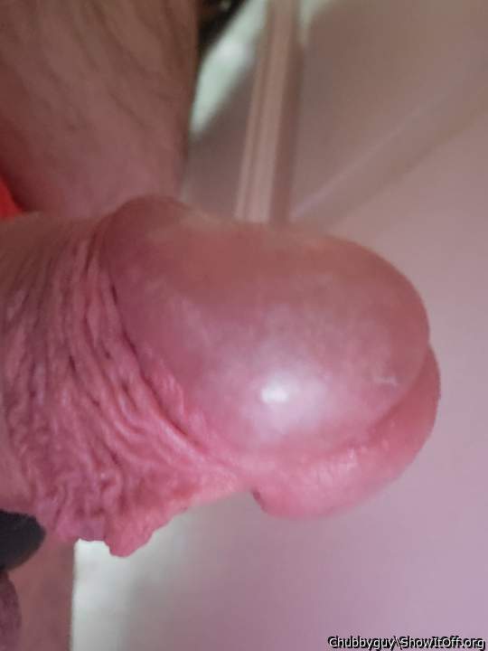 Photo of a lizard from Chubbyguy