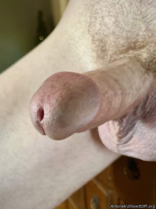 Photo of a one-eyed monster from Antonek