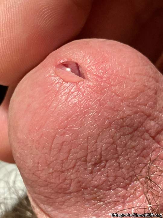 A little pre cum drop from a tiny little cocklet