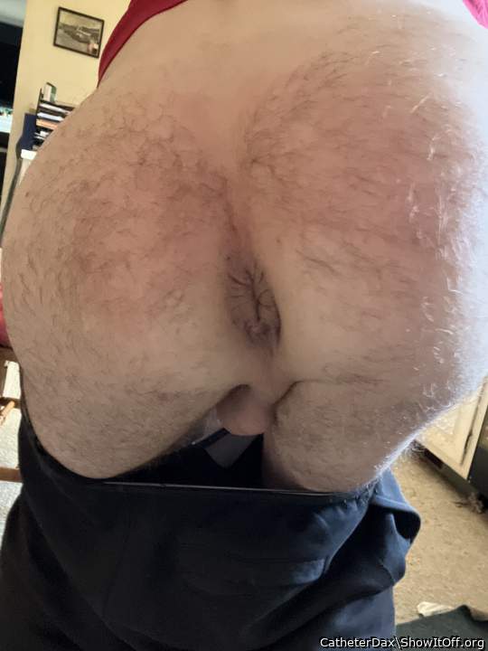 My Hairy Ass