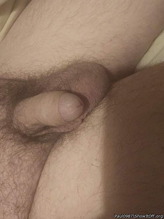 Photo of a prick from Paul0987