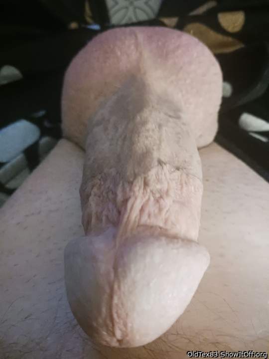 Photo of a hot dog from OldTex83