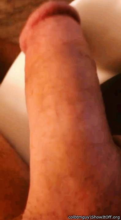 Photo of a python from colbtmguy