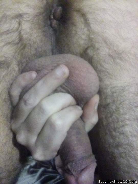 Photo of a python from Scoville