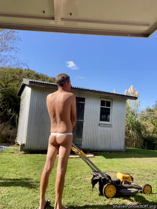 Photo of a tool from Shaven