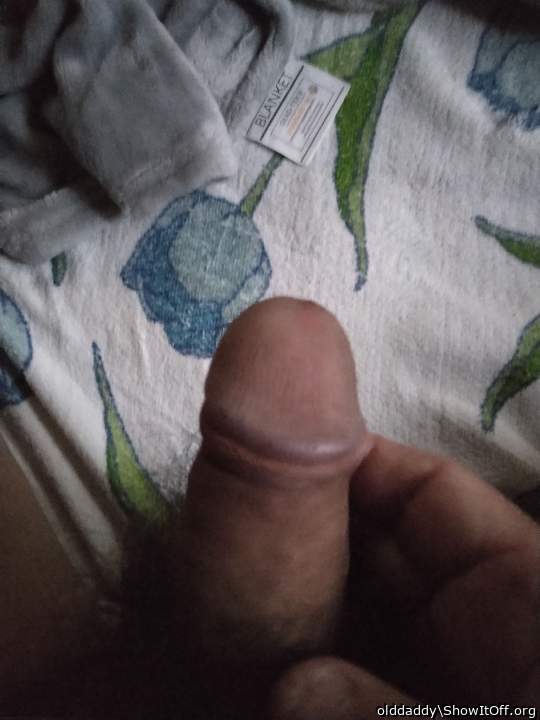 Photo of a cock from olddaddy