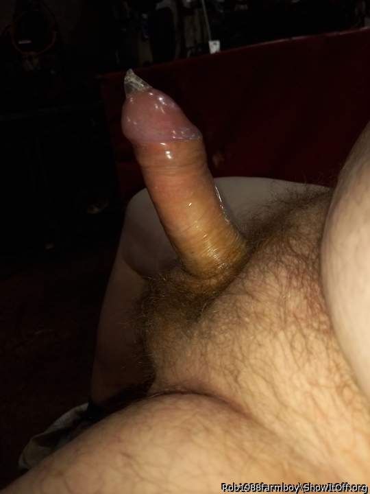 Photo of a lizard from Rob1988farmboy